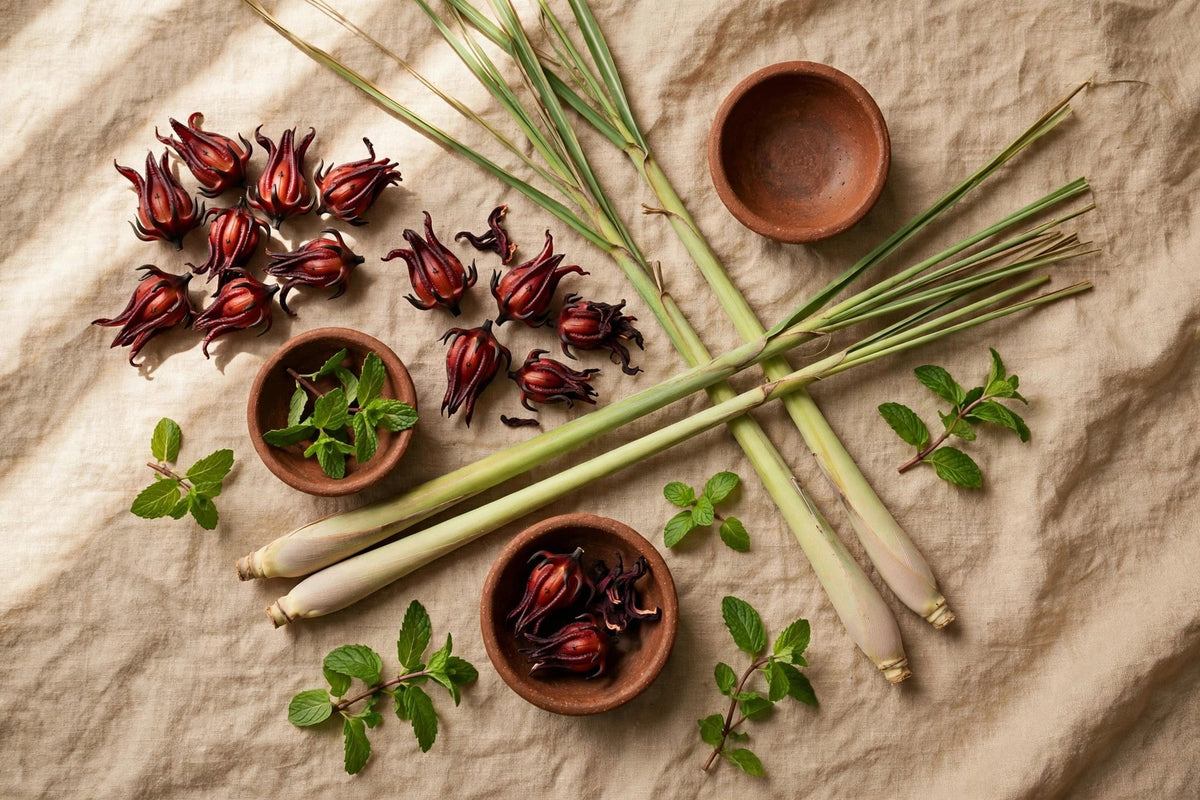 Taíno Herbal Traditions: The Indigenous Roots of Caribbean Tea Culture